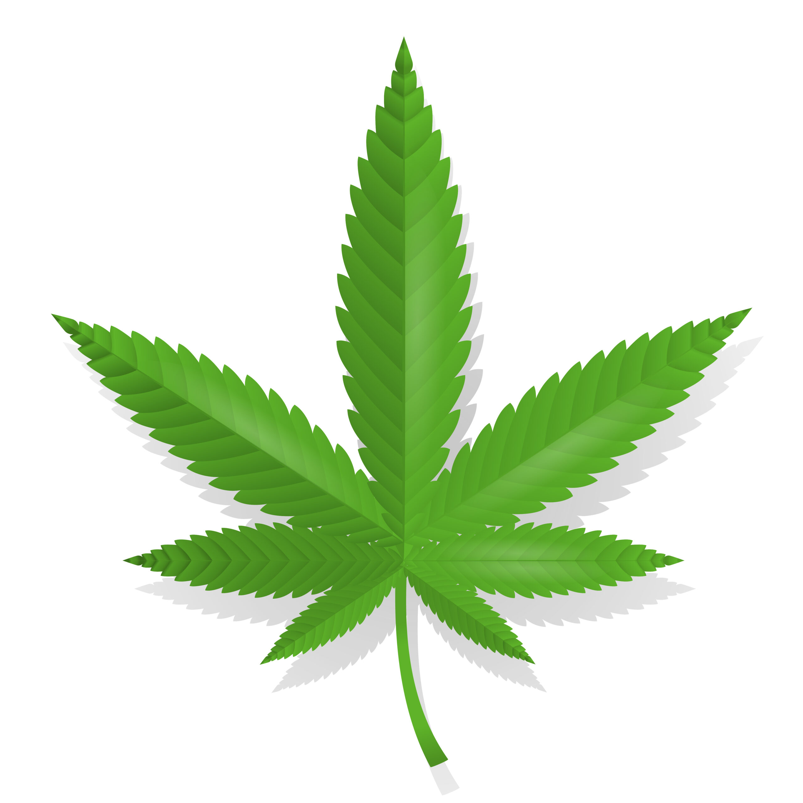 Medisinsk Marijuana ; 2900 f.Kr. frem til i dag. Del 2: Ny medisin forskning