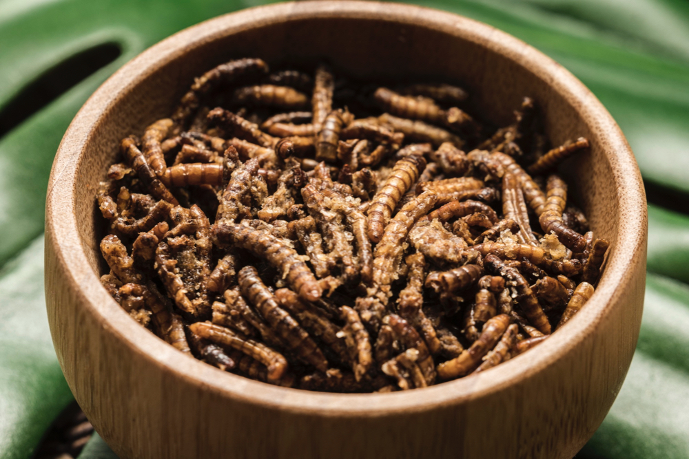 Spis kakerlakkene dine ! Hvordan matvareindustrien innfører insekter i matfatet.