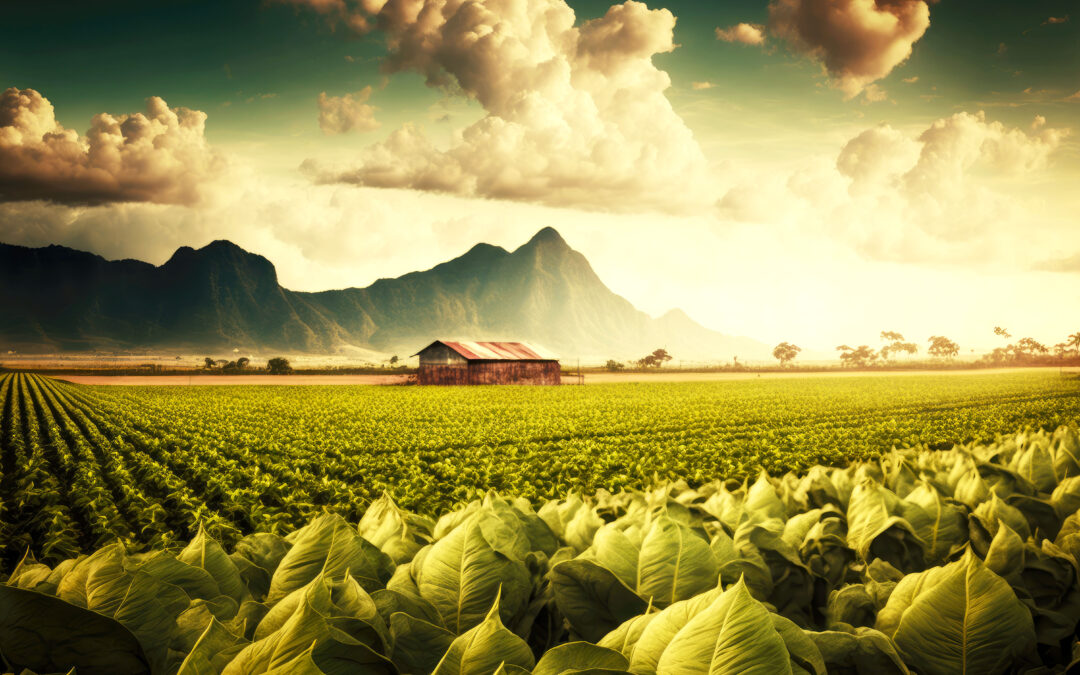 New Food Order : Hvem skal eie framtidens matproduksjon og hva skal det bli å spise ?